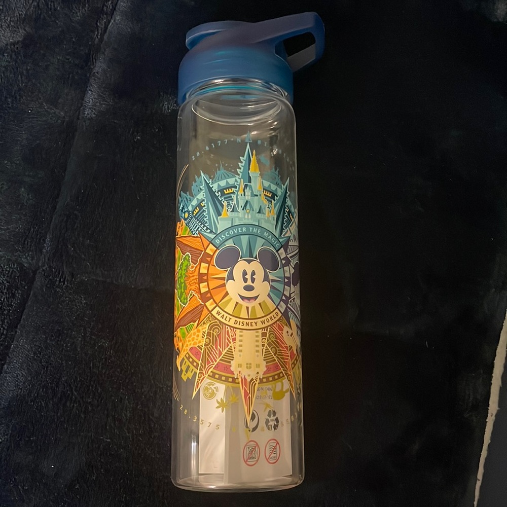 Disney Glass Water Bottle